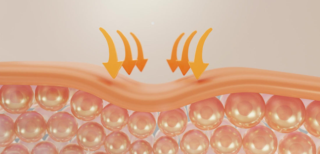 AgeBiome: Why Skin Strength Begins at the Junction