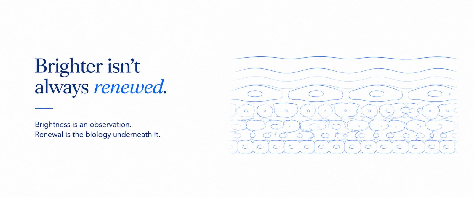 Minimalist B.LAB USA skincare banner comparing brighter-looking skin with underlying skin renewal, illustrating skin cell renewal and keratinocyte turnover as biological processes beneath the skin surface.