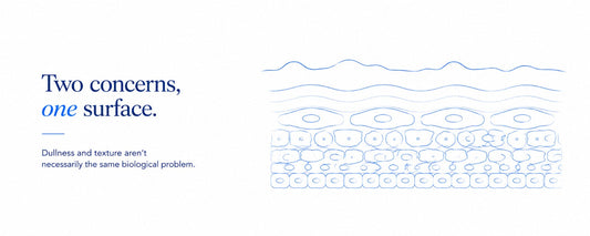 Minimalist B.LAB USA skincare banner illustrating dull skin and uneven skin texture on the surface while the underlying skin cell layers remain organized, highlighting the difference between skin appearance and skin biology.