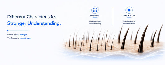 B.LAB biology-first banner illustrating the difference between hair density and hair thickness with a clean scalp visualization, highlighting scalp coverage versus individual strand diameter on a white background with brand blue accents. 