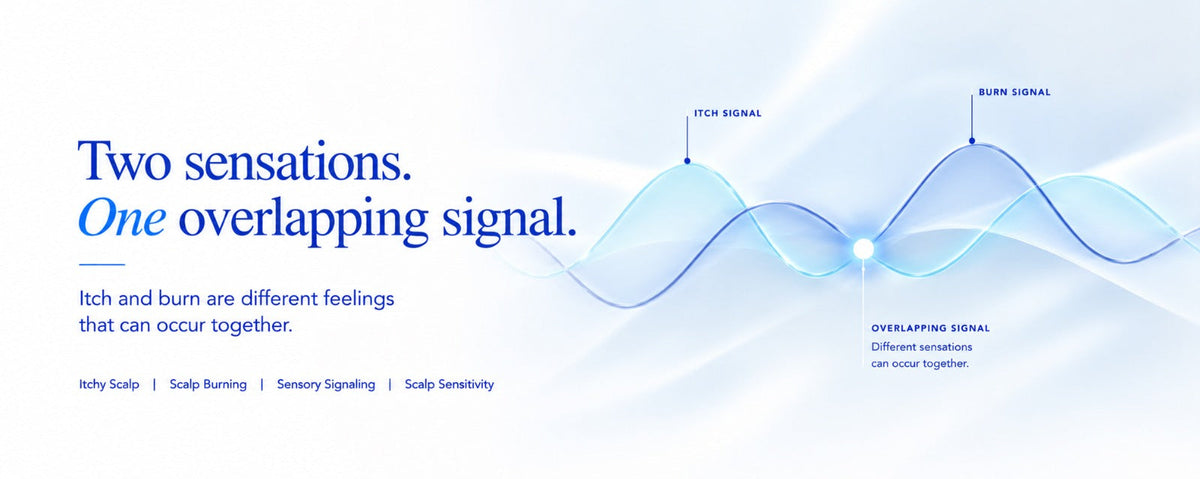B.LAB USA scalp care banner illustrating overlapping sensory signals to explain why an itchy scalp and burning scalp can occur together, highlighting scalp sensitivity and sensory signaling.