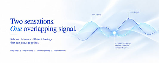 B.LAB USA scalp care banner illustrating overlapping sensory signals to explain why an itchy scalp and burning scalp can occur together, highlighting scalp sensitivity and sensory signaling.