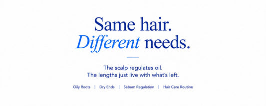 Minimalist B.LAB USA hair care banner explaining why oily roots and dry ends can occur together, highlighting sebum regulation and the different needs of the scalp and hair lengths.