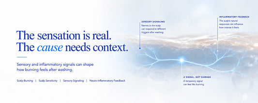 B.LAB USA scalp care banner illustrating sensory signaling beneath the scalp surface to explain scalp burning and sensitivity after washing, with a subtle nerve pathway representing neuro-inflammatory feedback.