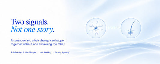 B.LAB USA scalp care banner illustrating the distinction between scalp burning and hair changes, showing that scalp sensations and hair shedding can occur together without necessarily having the same cause.