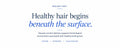 Understanding Vascular Nutrient Delivery: A Biology-First Perspective on Hair Density