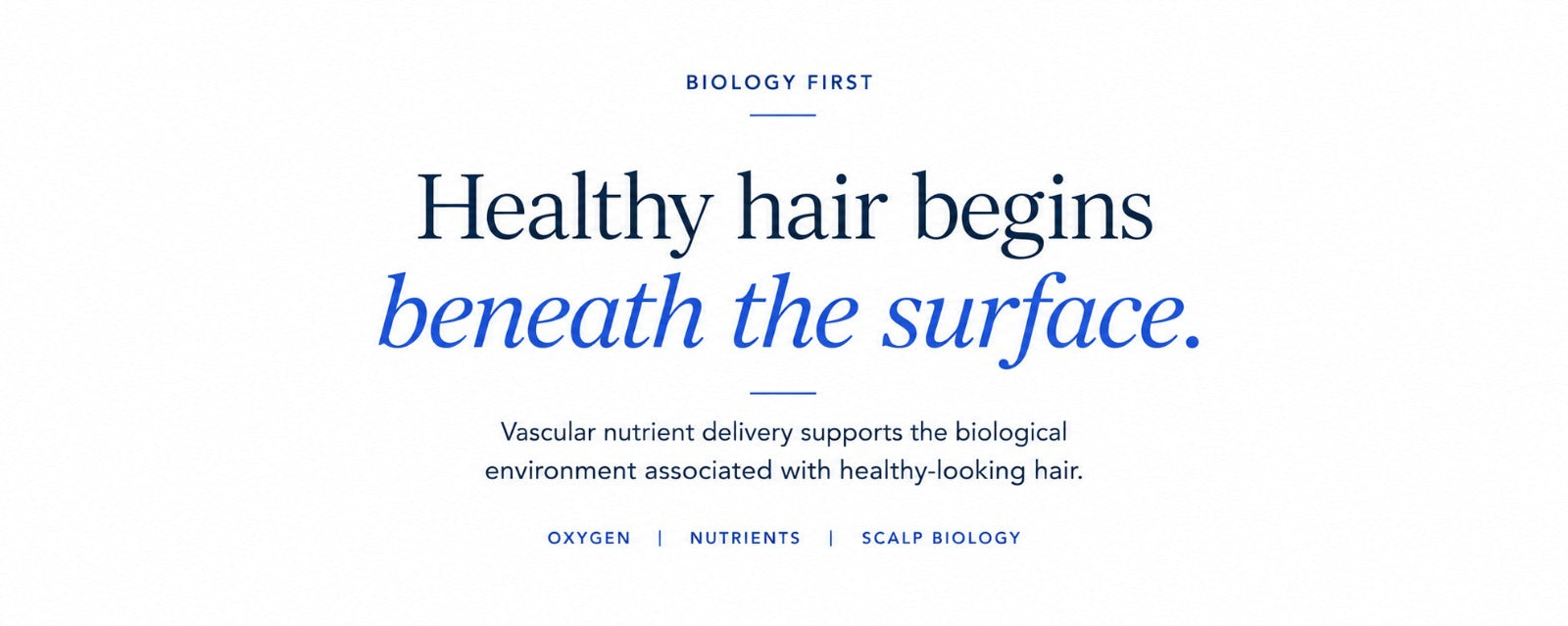 Understanding Vascular Nutrient Delivery: A Biology-First Perspective on Hair Density