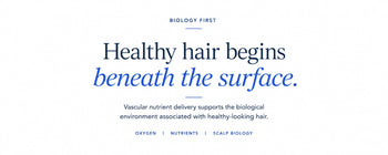 Understanding Vascular Nutrient Delivery: A Biology-First Perspective on Hair Density