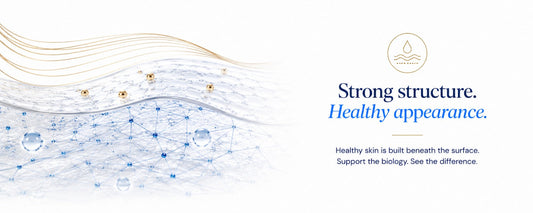 Minimal B.LAB banner illustrating healthy skin structure with an abstract layered skin graphic and the message "Strong structure. Healthy appearance." highlighting a biology-first approach to healthy-looking skin.