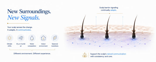Minimal B.LAB biology-first banner illustrating scalp barrier signaling adapting to environmental changes with a clean white background, abstract scalp cross-section, and the headline "New Surroundings. New Signals." 