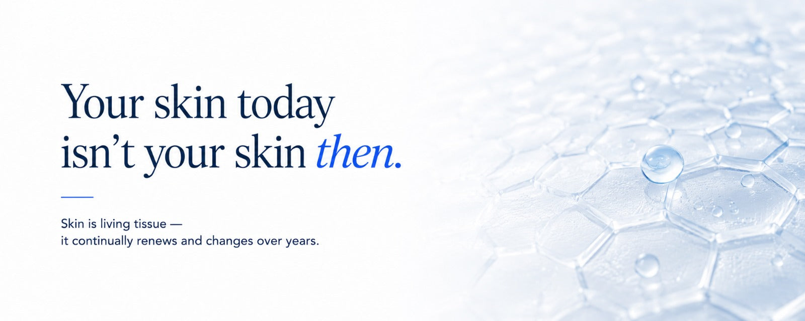 Minimalist B.LAB USA biology-first skincare banner illustrating how skin changes over time through continuous skin renewal and biological processes, with a soft cellular skin texture and water droplets.
