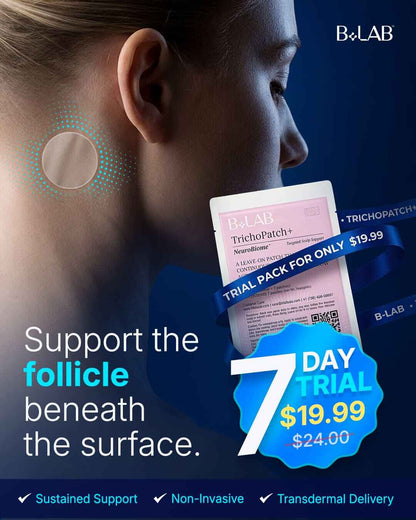follicle beneath the surfae